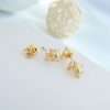 aretes mini pig - Imagen 5